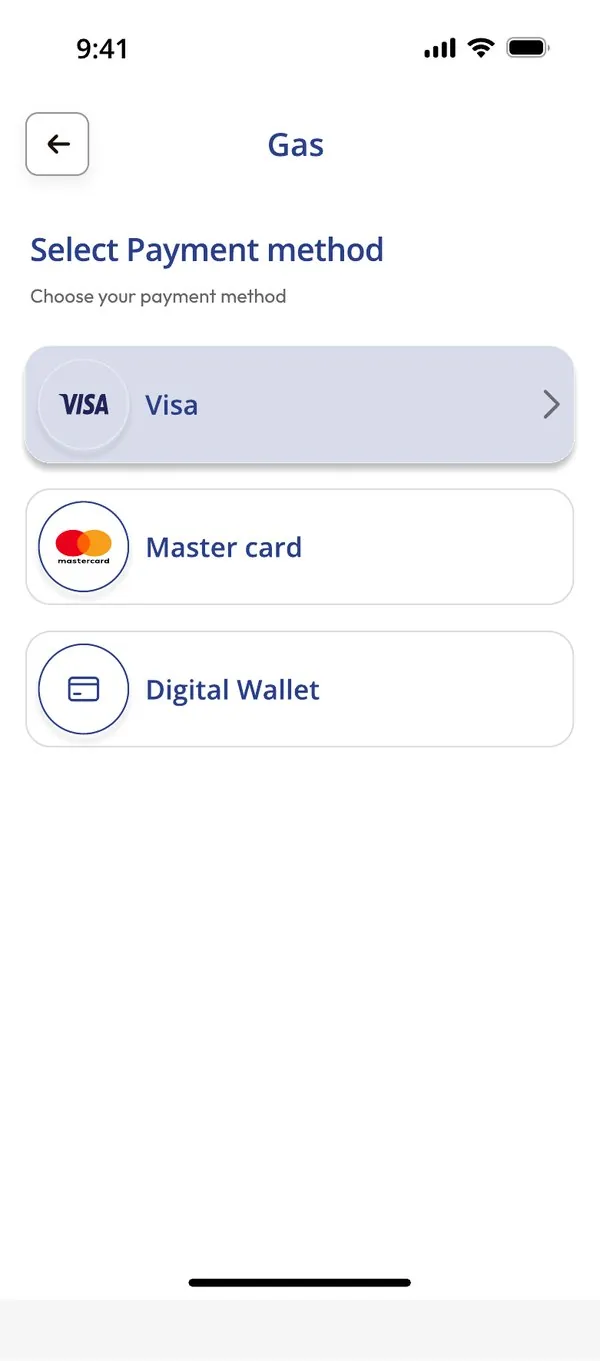Choose Visa, Mastercard or a digital wallet